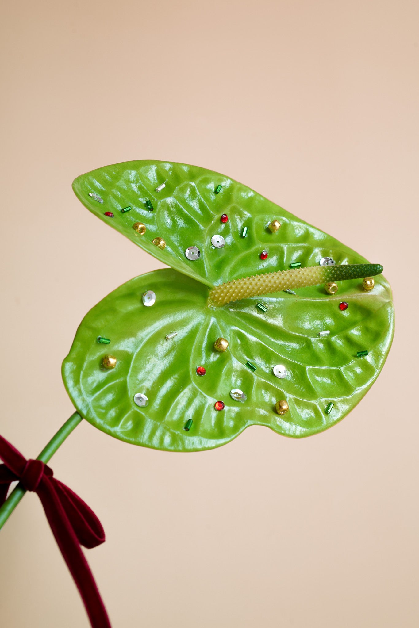 Anthurium